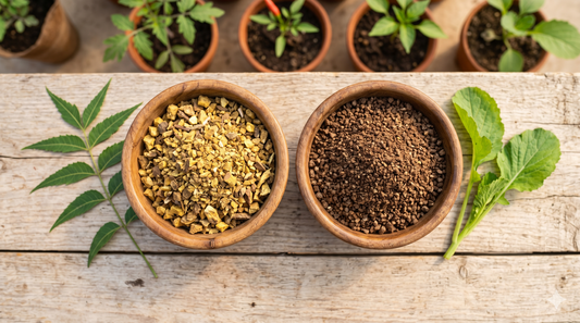 Neem Cake vs Mustard Cake: Which Organic Soil Amendment Is Right for You?