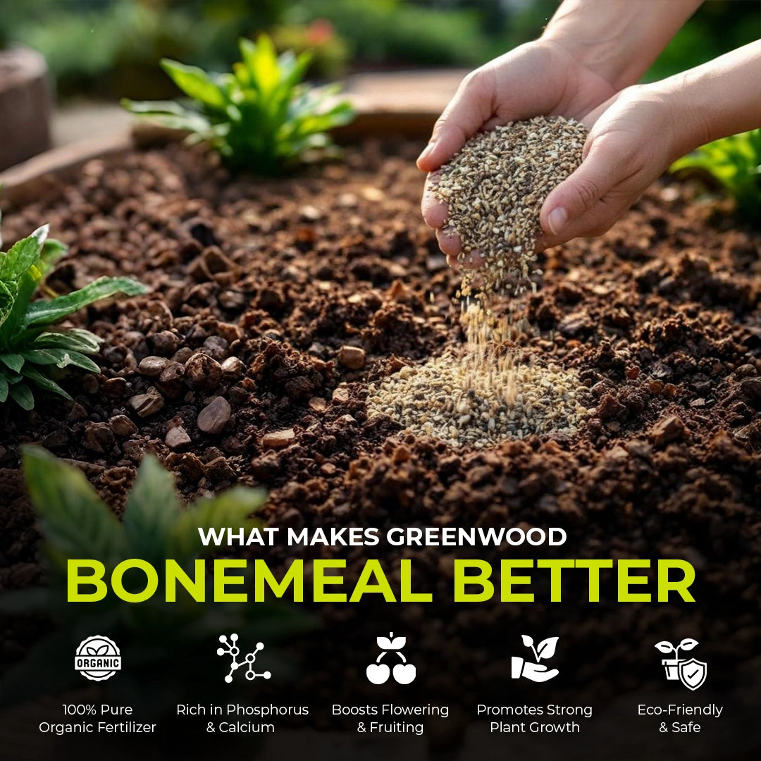 100% Pure Bone Meal Organic Fertilizer – Rich in Phosphorus & Calcium for Healthy Plant Growth, Flowering & Fruiting in Home Gardening