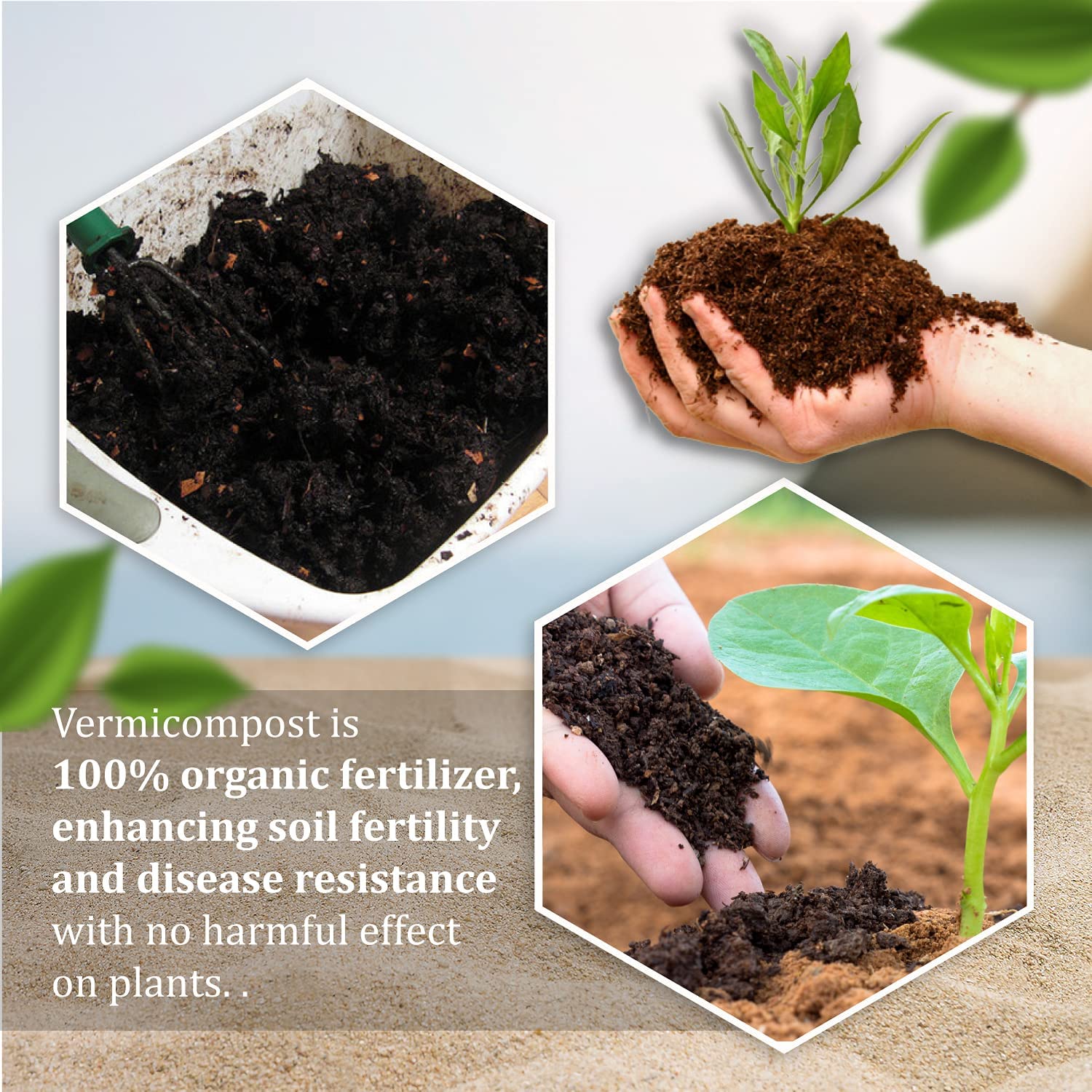 Greenwood Enriched Vermicompost — Organic Fertilizer with Neem, Seaweed Extract & Trichoderma
