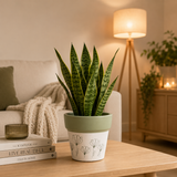 Blossom Line Two-Tone Flower Pot Planter – Minimalist Floral Indoor Plant Pot
