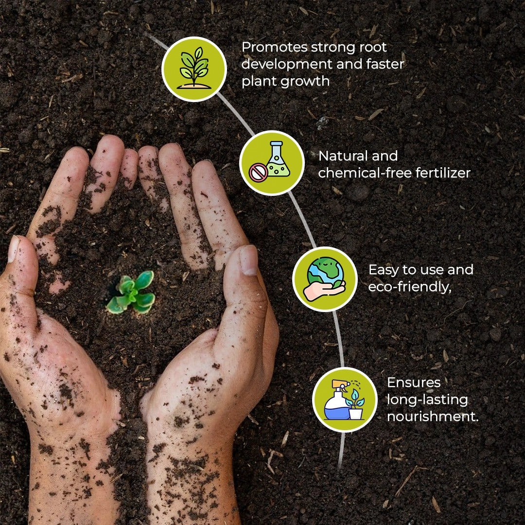 Potting Mix Fertilizer 100% Pure & Organic | Required for Healthy Plant Growth